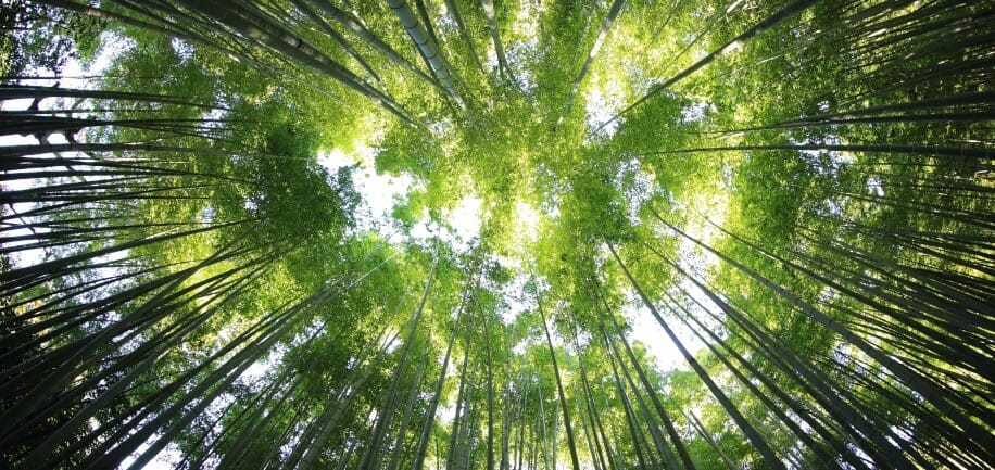 kazuend 19SC2oaVZW0 unsplash FocusFillWzkxNiw0MzMsInkiLDg5XQ 1