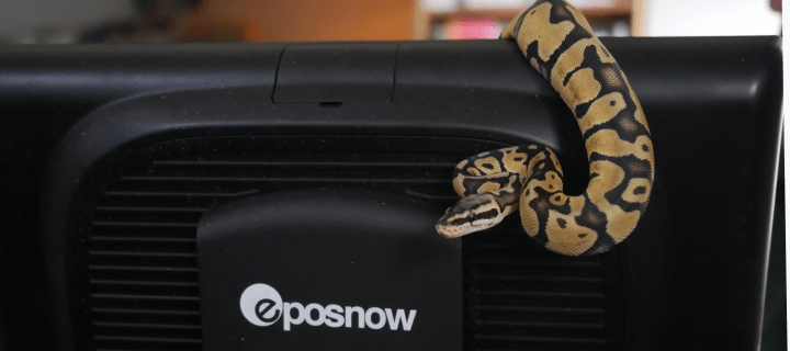 Pets paradise snake 1 FocusFillWzcyMCwzMjAsZmFsc2UsMF0.2